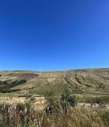 A landscape shot of the Snaizeholme valley against a brilliant blue sky.