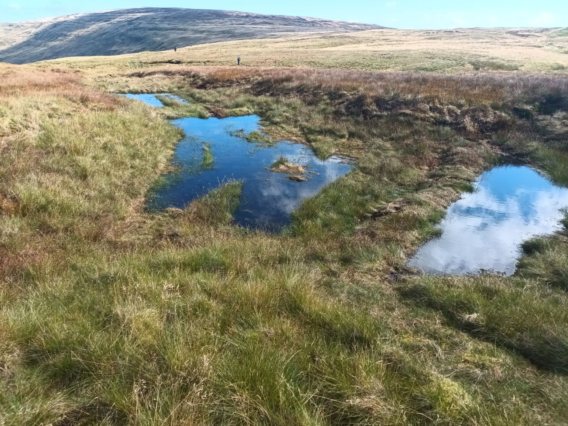 Peat Snaizeholme Alec Pue