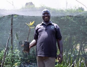 A TIST farmer holds a tree sapling, smiling proudly. He is standing in his seedling nursery, wearing a black polo shirt and beige trousers, smiling proudly.