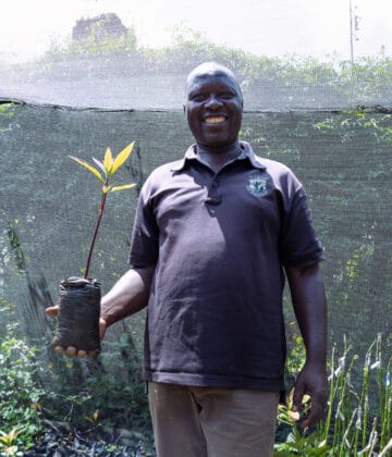 A TIST farmer holds a tree sapling, smiling proudly. He is standing in his seedling nursery, wearing a black polo shirt and beige trousers, smiling proudly.